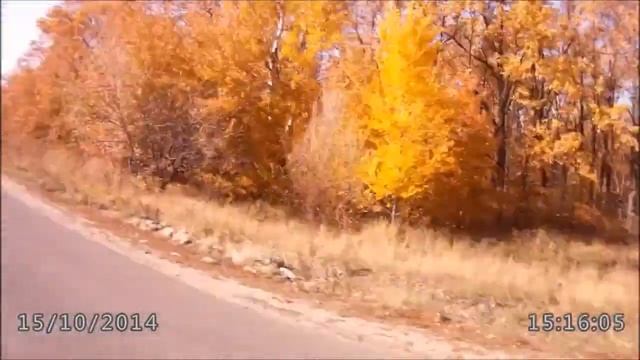 ОСЕННИЕ ПОКАТУШКИ 2014