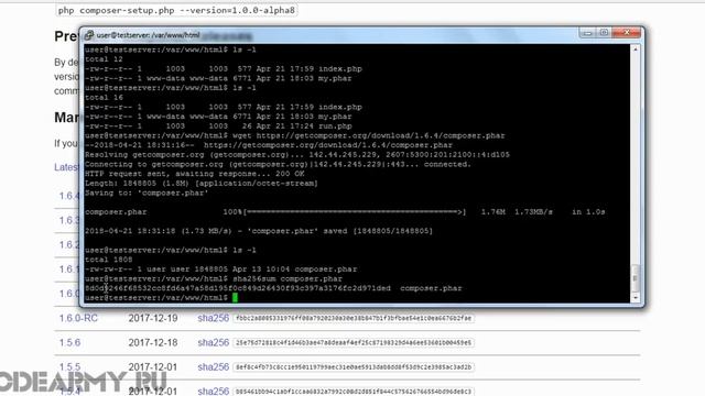 2. Установка Composer для PHP на вебсервер смотреть онлайн