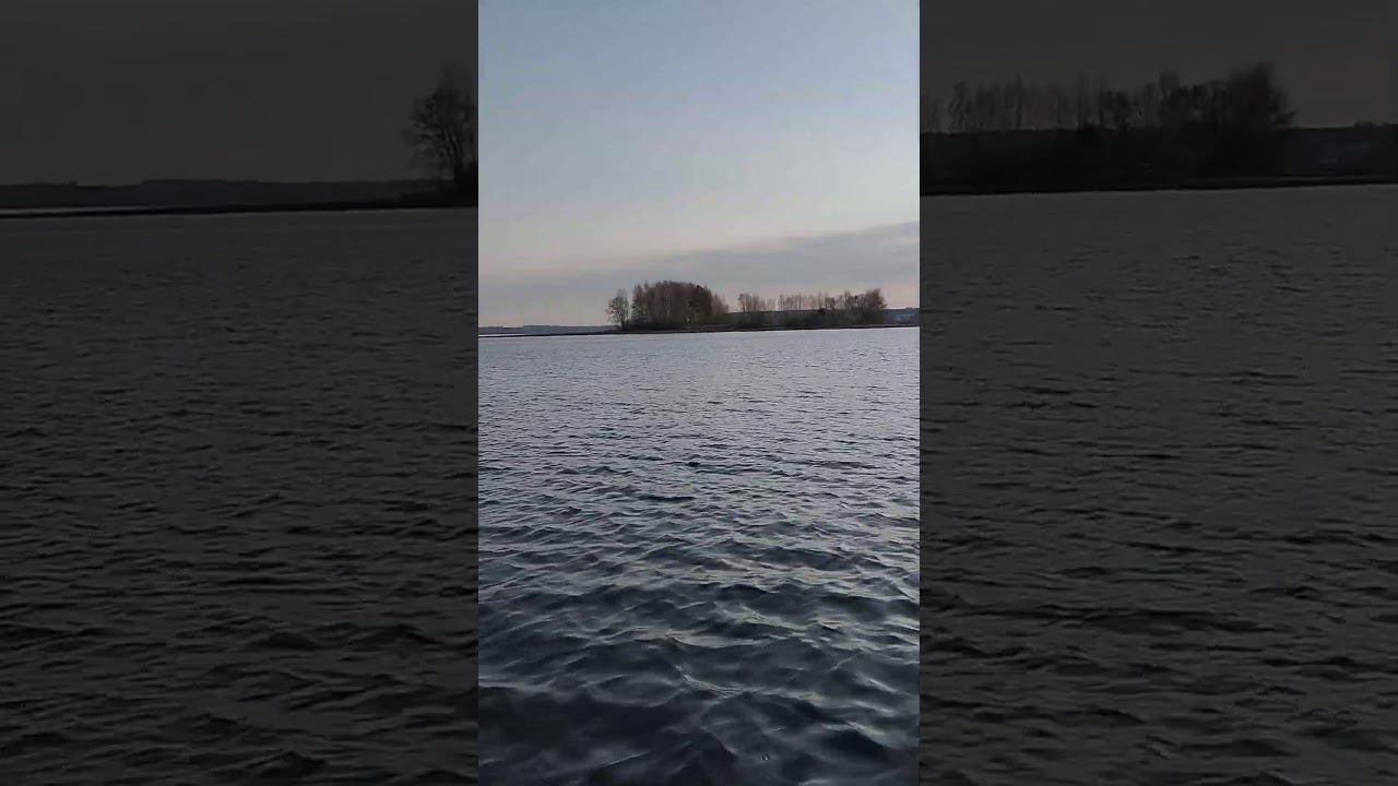 Весенняя рыбалка.Едем на остров на лодке открывать фидер. #fishingvideo #рыбалка #shortvideo #весна смотреть онлайн