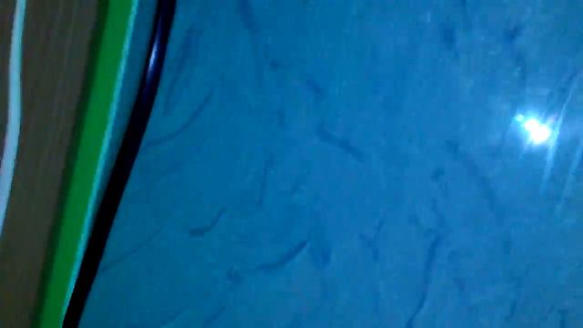 Где купить рыбок и раков