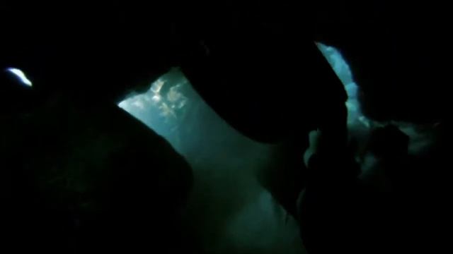 Day 2 reef смотреть онлайн
