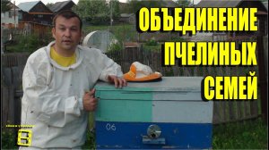 ОБЪЕДИНЕНИЕ ПЧЕЛИНЫХ СЕМЕЙ ЧЕРЕЗ ГАЗЕТУ. ЛЮБИТЕЛЬСКОЕ ПЧЕЛОВОДСТВО С 0 #ПЧЕЛОВОДСТВО #ПАСЕКА #ПЧЕЛЫ