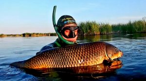 Долгожданный Трофей. Подводная охота в Татарстане.