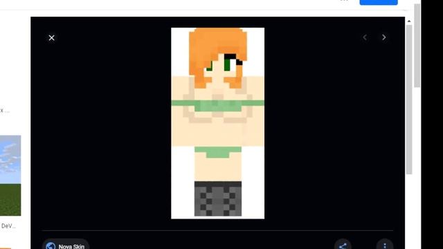 Minecraft Alex NSFW Speedrun (World Record) смотреть онлайн