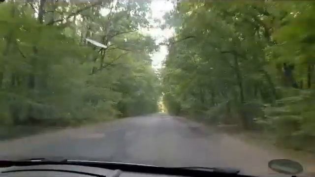 Шипов лес недалеко от села Воронцовка! смотреть онлайн