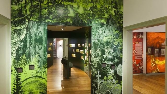Литературные места. Музей братьев Гримм смотреть онлайн