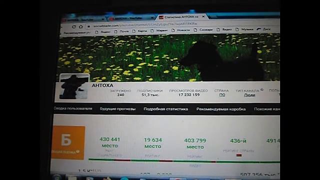 АНТОХА  Сколько зарабатывает на Youtube  АНТОХА  / КУПИЛ ХУТОР в ЛЕСУ на КРАЮ БОЛОТА.