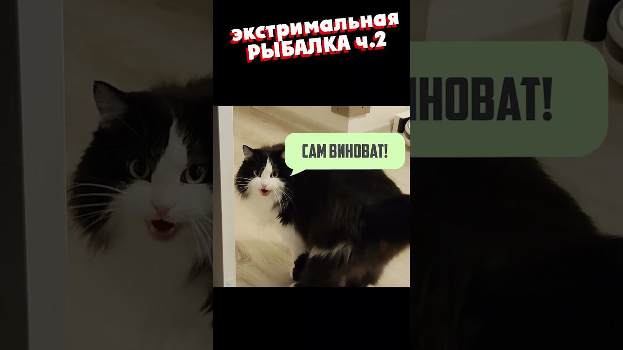 ОНИ ЗАПОДОЗРИЛИ смотреть онлайн