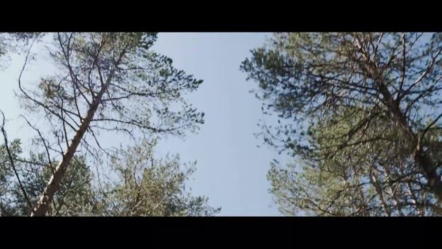 Эко-отель "Летняя Золотица" смотреть онлайн