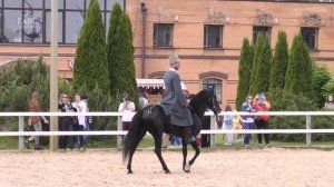 Породы лошадей: КАБАРДИНСКАЯ лошадь АДЫГЭШ #ИППОсфера 2021