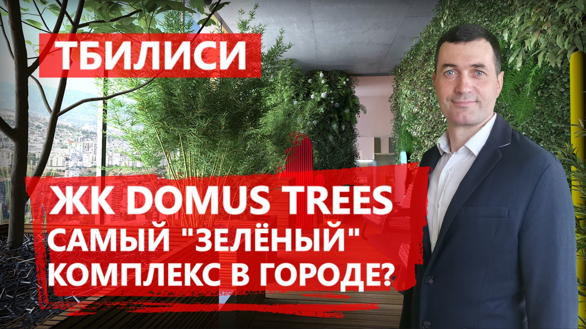 ?Domus Trees на проспекте Чавчавадзе в Тбилиси - 
