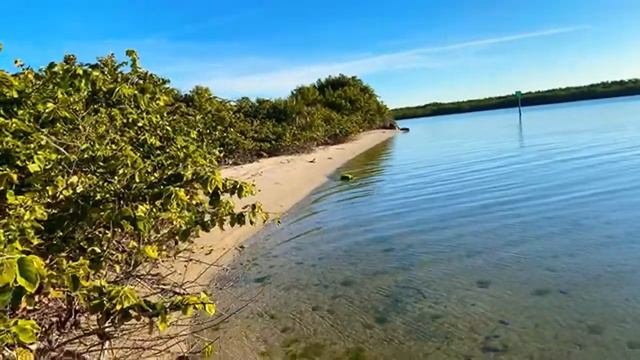 🔴 Варю КОФЕ в МАШИНЕ 🔴 мой АВТОДОМ Van Life Design Marimekko Style УБОРКА и ПОРЯДОК 20.01.2021 смотреть онлайн