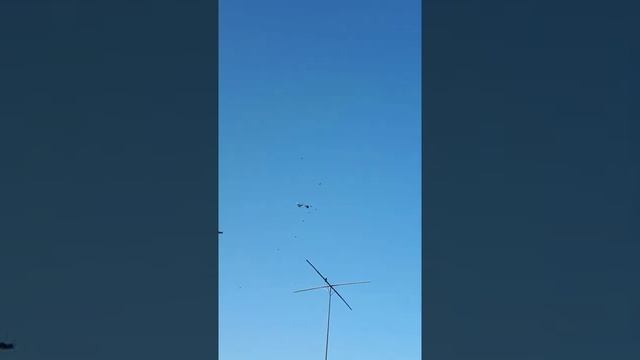 свг голуби щербиновский 6.10.2021самоподъем,первые полеты. смотреть онлайн