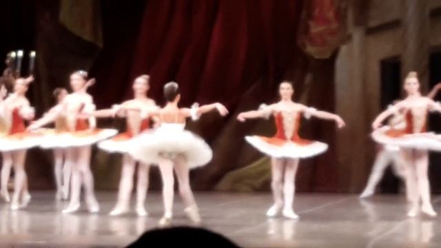 Пахита, САТОБ, ЕКАТЕРИНА ПЕРВУШИНА, 2016 смотреть онлайн