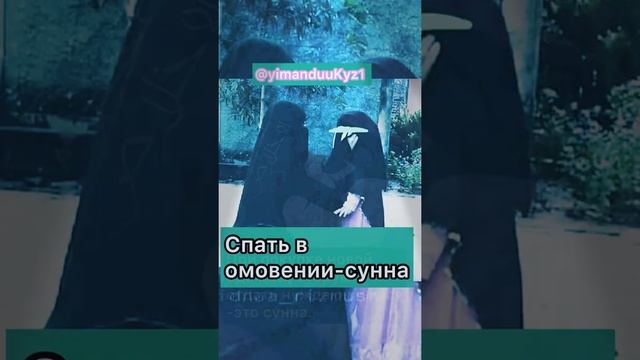 Сунна-это смотреть онлайн