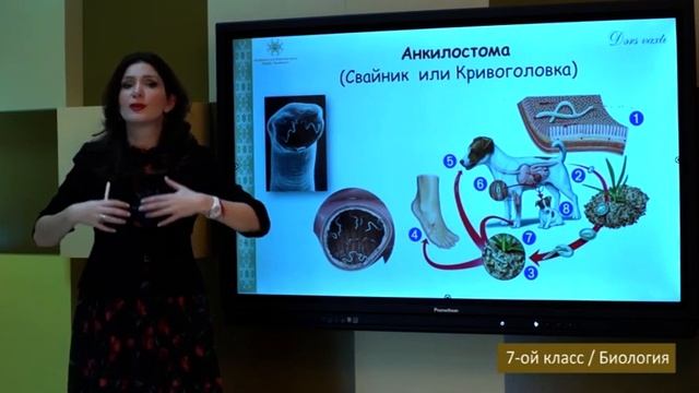 “Dərs vaxtı”: 7-ci sinif dərsləri (rus bölməsi) (24.02.2022) смотреть онлайн