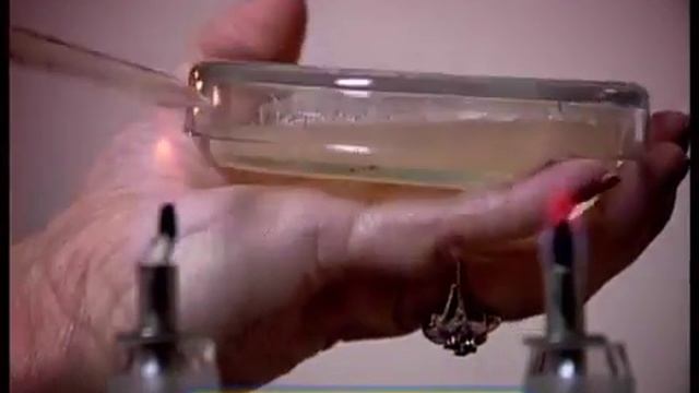 Галилео Системы хранения смотреть онлайн