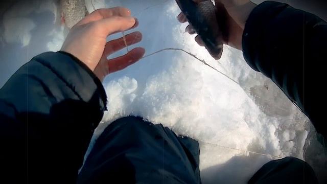 Рыбалка на косынки ЗИМОЙ смотреть онлайн