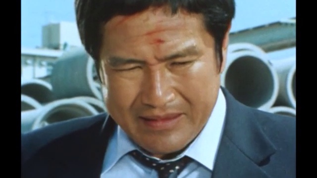 太陽にほえろ！ 第525話 石塚刑事殉職 1時間枠放映用短縮版 смотреть онлайн