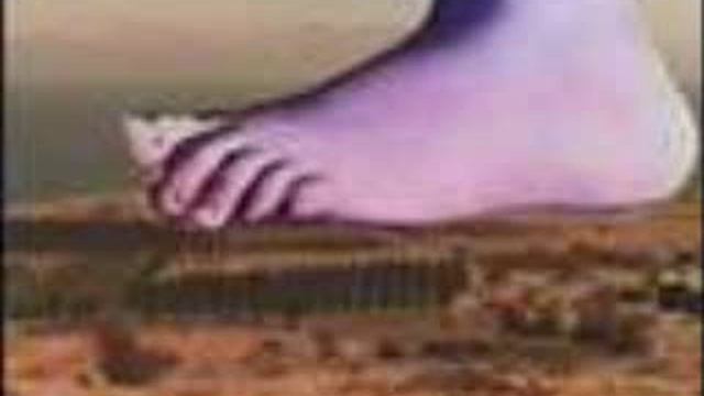 Eric Idle Sings Monty Python--Part 4 смотреть онлайн