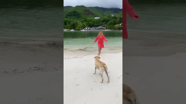 Ольга Орлова в сторис 27.11.2019. смотреть онлайн