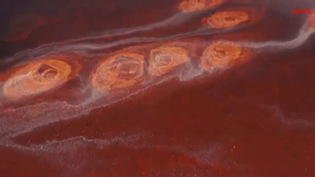 Тайные стороны желаний 11 смотреть онлайн