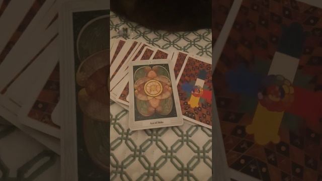 Energia do finde: Às de Ouros.Sorte, prosperidade, aproveita a chance p/alcançar algo e desfrutar! смотреть онлайн