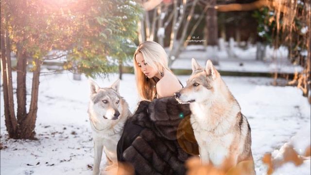 Miraya Shark / Новогодняя (Красный Нос) / New Year смотреть онлайн