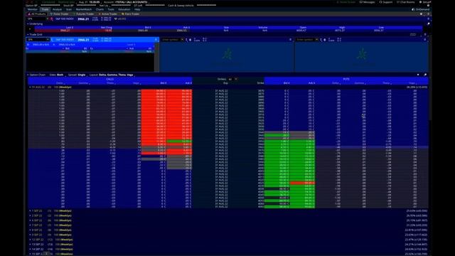 SPX Options Chain Overview #TML #thestrat #spx #options смотреть онлайн