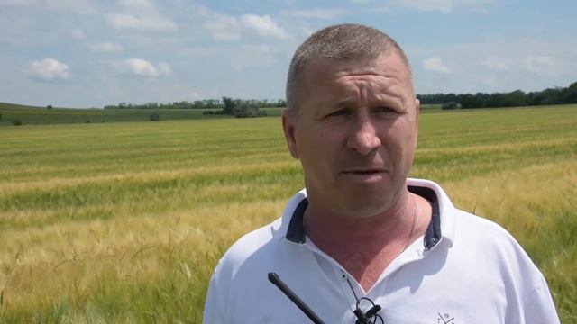 Предуборочный объезд полей смотреть онлайн