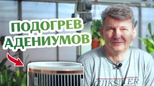Как Сделать Подогрев Для Адениумов