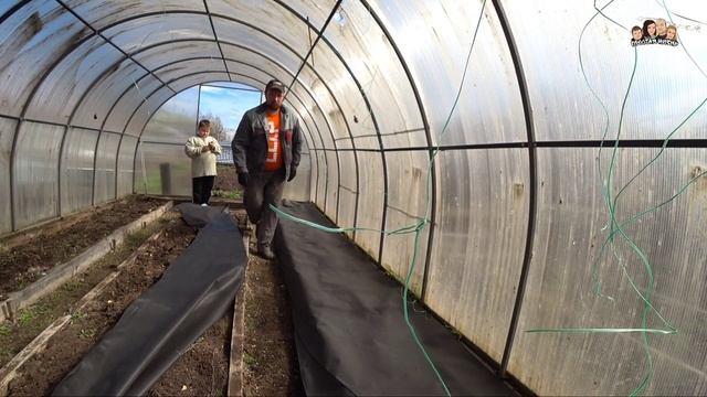 Мульчирование АгроТканью в теплице//мульчирование капусты//геотекстиль 150 микрон//Огородные хлопот смотреть онлайн
