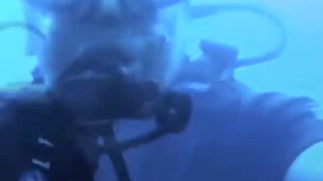 Bora Bora смотреть онлайн