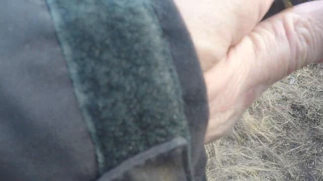 ротан ранней весной смотреть онлайн