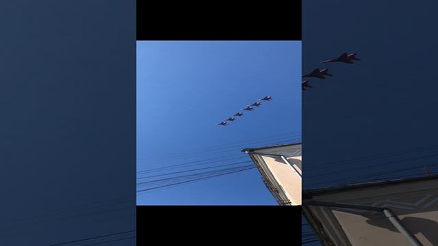 Стрижы в Новокузнецке