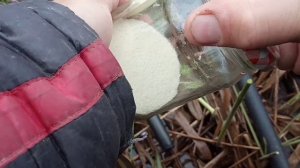 Тесто для ловли рыбы(карася,карпа,плотвы) из манки . День четвертый.