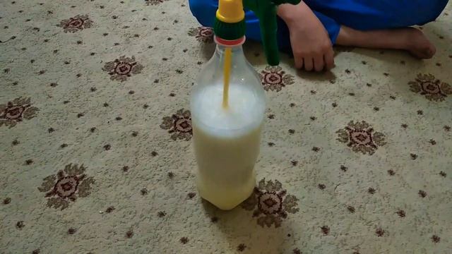 таракан дориси смотреть онлайн