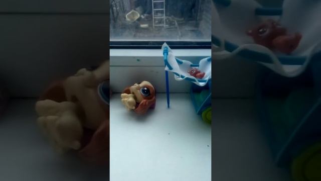 LPS: 🙀 Мой первый кокер спаниэль! смотреть онлайн