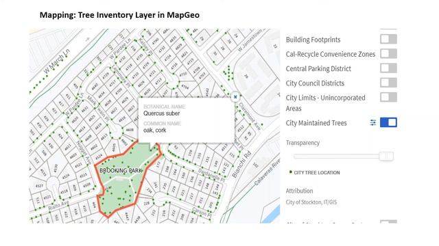 Top 10 Uses for Oblique Imagery with EagleView and MapGeo смотреть онлайн