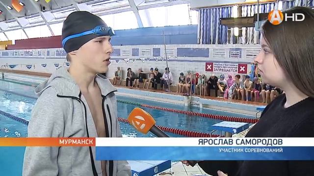 В столице Заполярья проходят чемпионат и первенство Мурманской области по плаванию смотреть онлайн