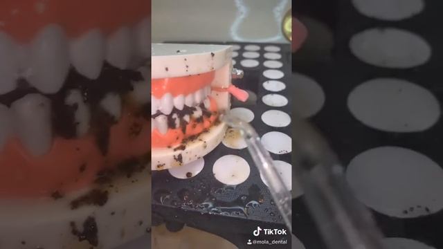 Do you hate flossing? Using a WaterPik is so satisfying! смотреть онлайн