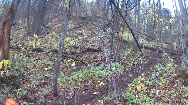 Зов предков Казани 15.10.22 #эндуро #казань