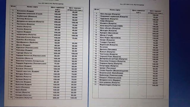 каталог саджанців та черенків винограду на 2022-2023 рік. смотреть онлайн