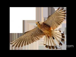 Загадки Господа