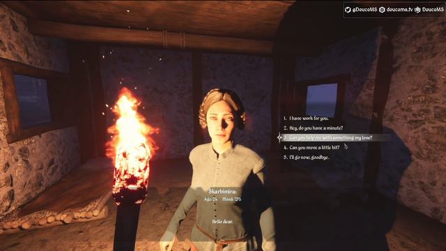 Medieval Dynasty | #13 | Outlining Defence смотреть онлайн