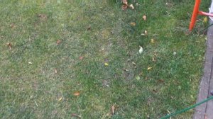 СЛОВИТЬ МЫШЬ МЫШЕЛОВКОЙ ИЗ ЛЕГО - Возможно ли ?