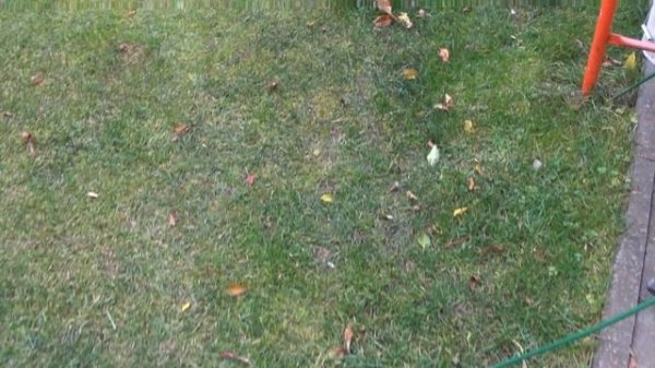 СЛОВИТЬ МЫШЬ МЫШЕЛОВКОЙ ИЗ ЛЕГО - Возможно ли ?