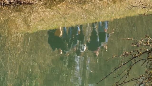 Как понять, что женщина свободна для отношений? смотреть онлайн