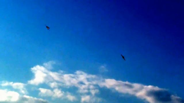 Черкассы День города 2012 смотреть онлайн