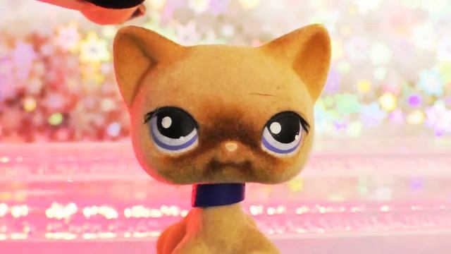 LPS: ГДЕ КУПИТЬ ВСЕХ СТОЯЧИХ КОШЕК?//ОТВЕТ НАЙДЕН!//МОЯ КОЛЛЕКЦИЯ смотреть онлайн